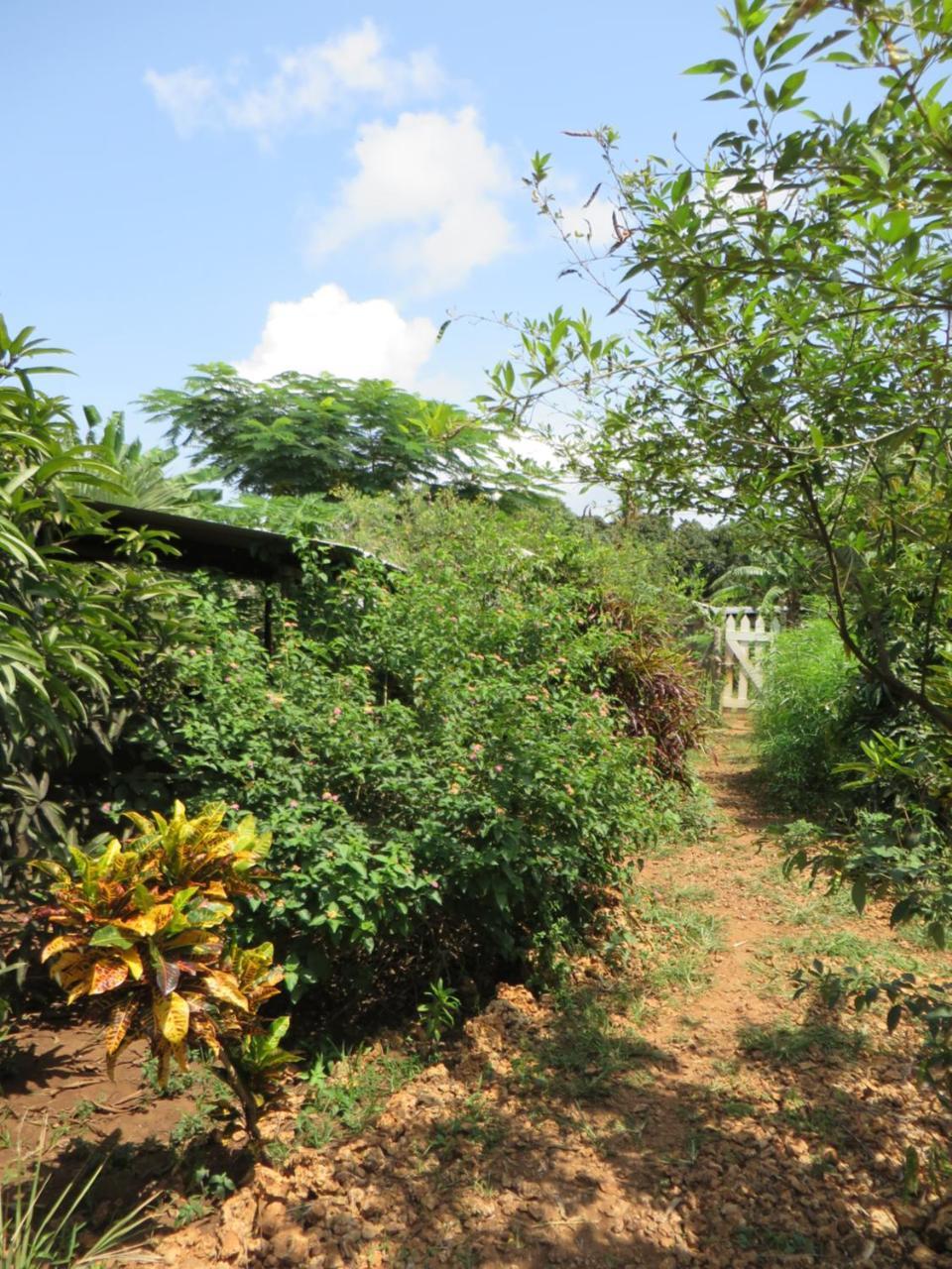 Bahati Diani House Glamping Diani Beach Exteriér fotografie